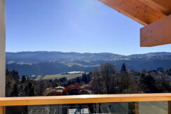 alpiturist_residence_gnomo7